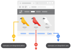 Understanding Search Behavior in Calgary